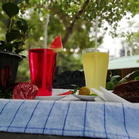 Sigiri La Veranda Lodge Kibissa Dış mekan fotoğraf