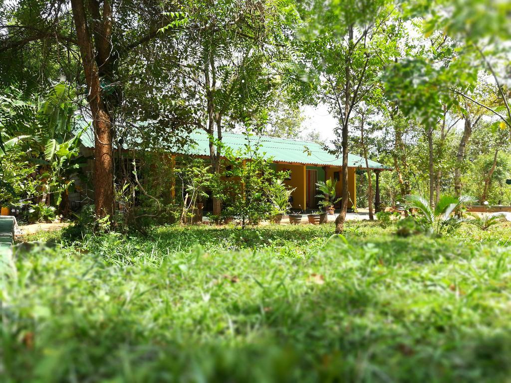 Sigiri La Veranda Lodge Kibissa Dış mekan fotoğraf