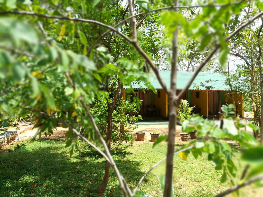 Sigiri La Veranda Lodge Kibissa Dış mekan fotoğraf