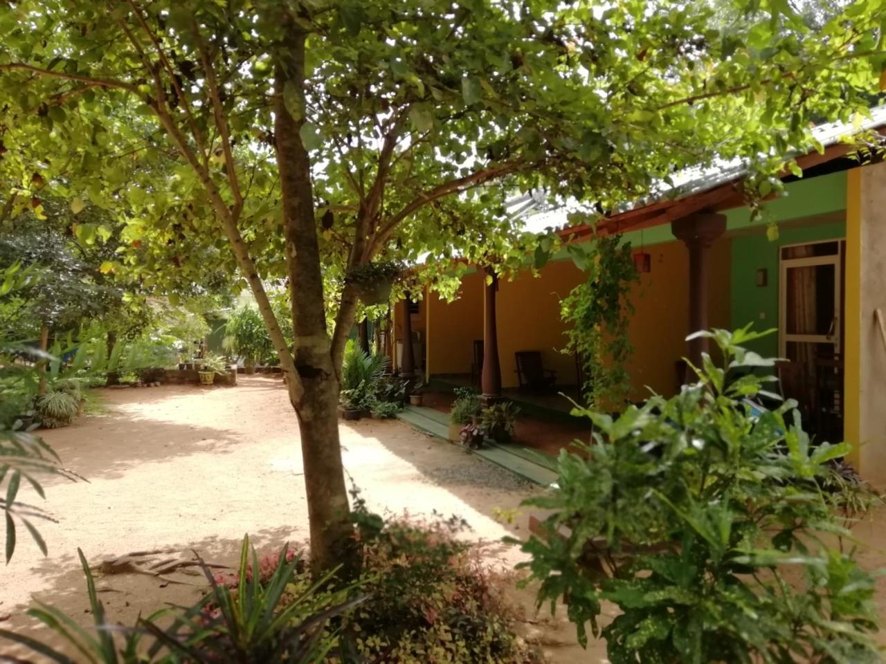 Sigiri La Veranda Lodge Kibissa Dış mekan fotoğraf