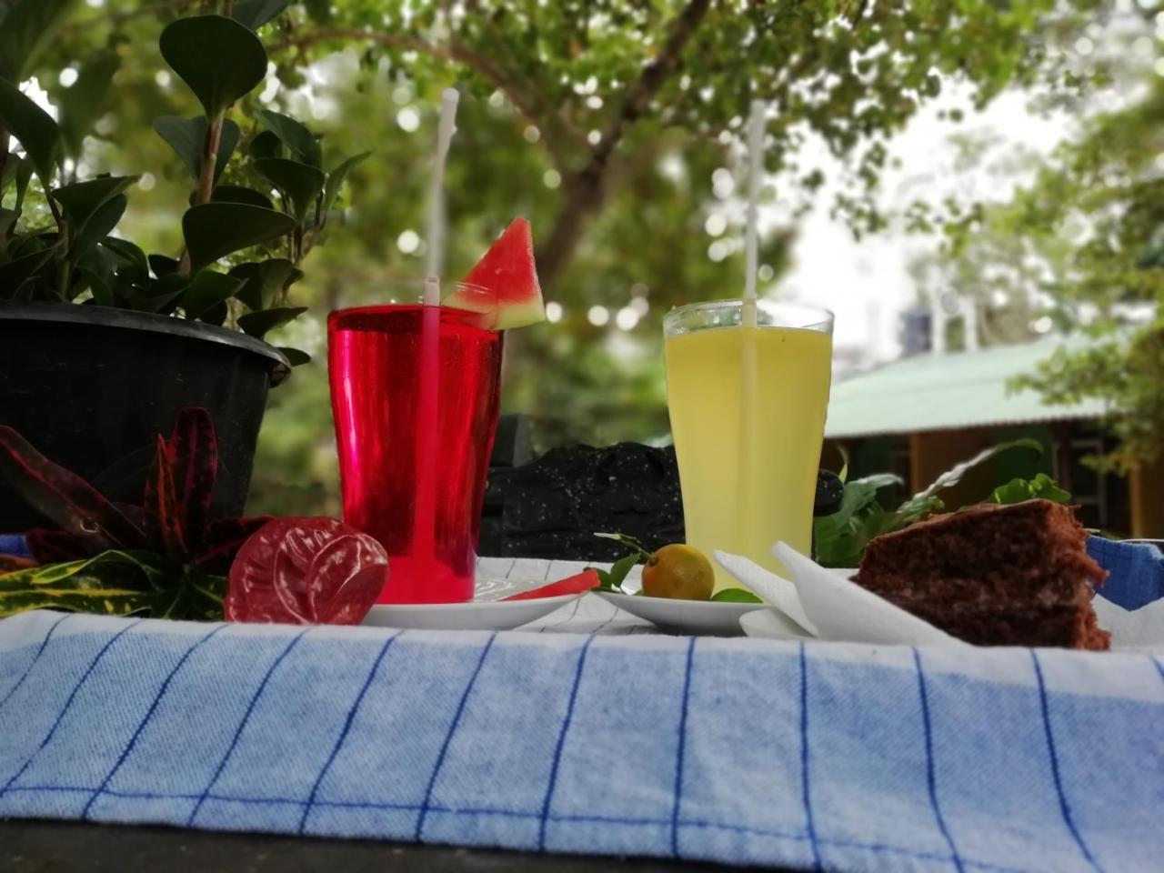 Sigiri La Veranda Lodge Kibissa Dış mekan fotoğraf