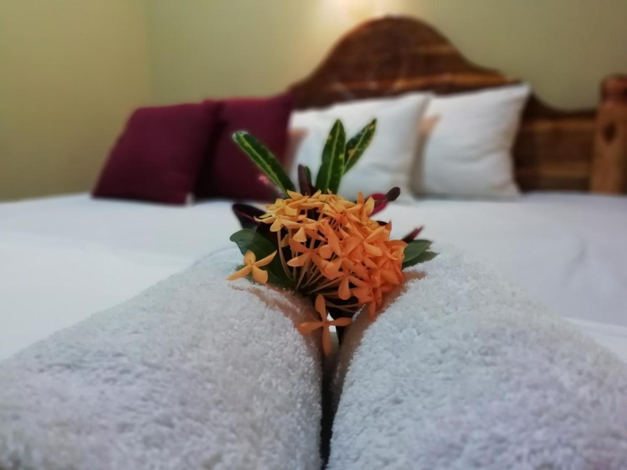 Sigiri La Veranda Lodge Kibissa Dış mekan fotoğraf